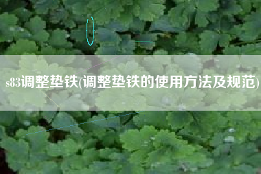 s83<a href='http://ez47.cn/jichuangdiantiexilie/' target='_blank' title='調(diào)整墊鐵' ><strong>調(diào)整墊鐵</strong></a>(調(diào)整墊鐵的使用方法及規(guī)范)